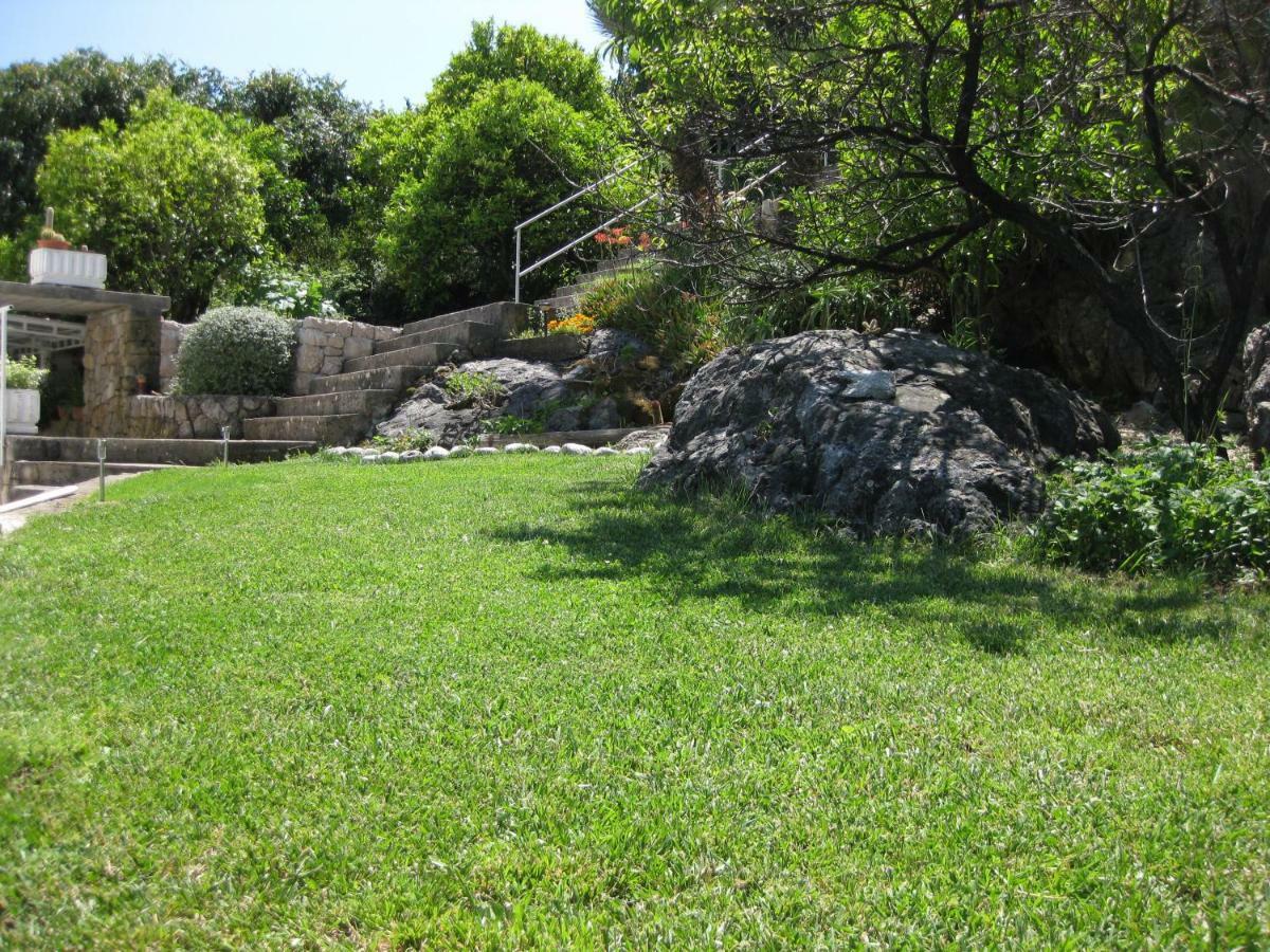 Marivo Guest House Molunat Exterior photo