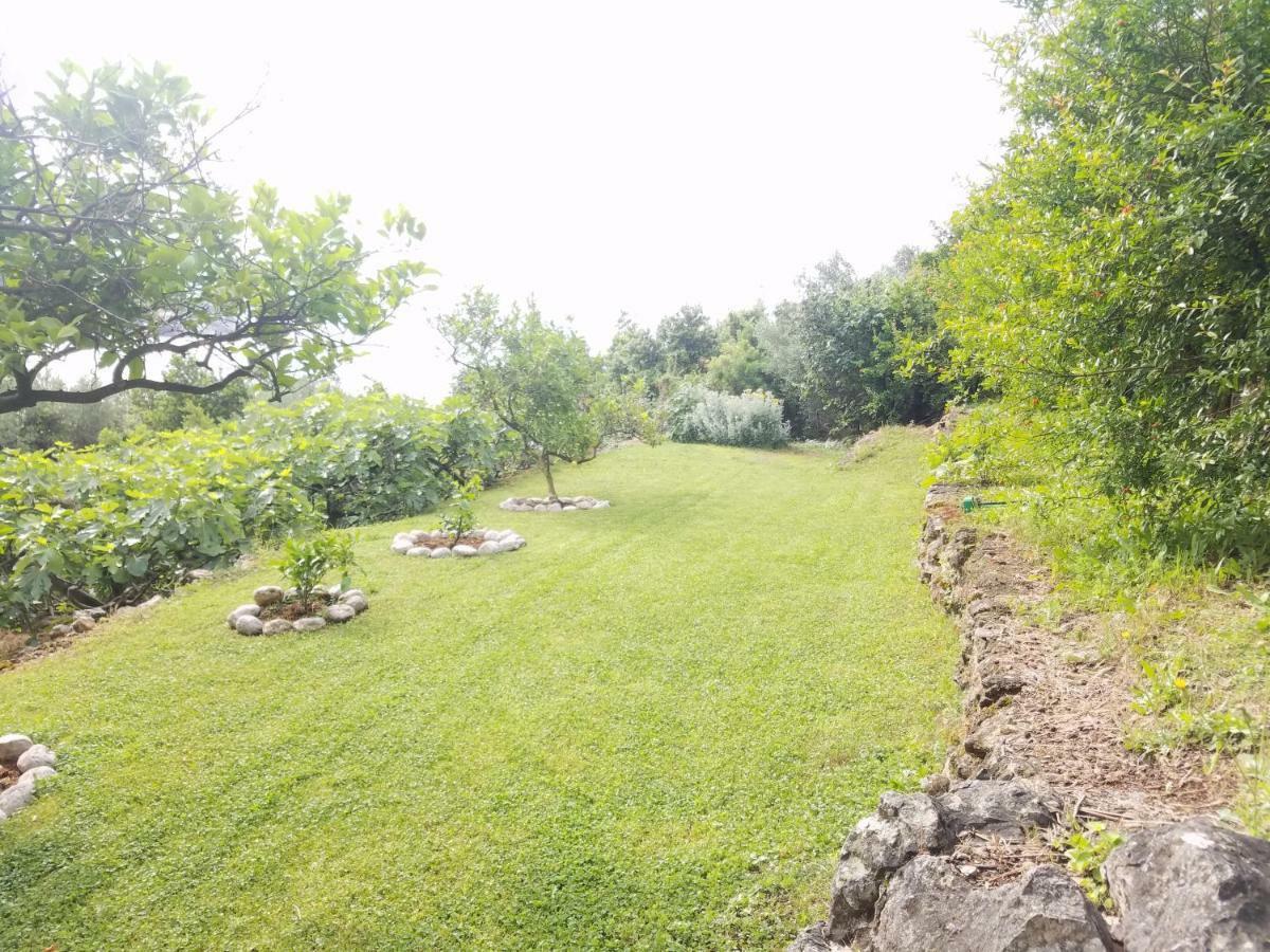 Marivo Guest House Molunat Exterior photo